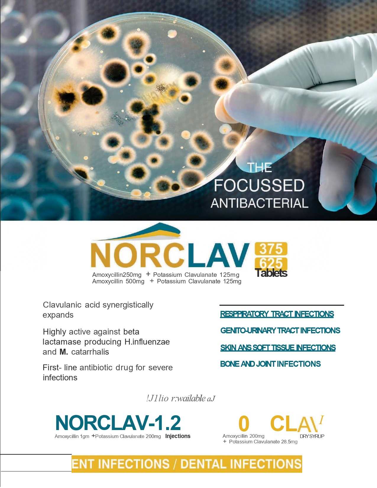 Norclav-625