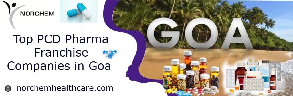 Top PCD Pharma Franchise Companies in Goa