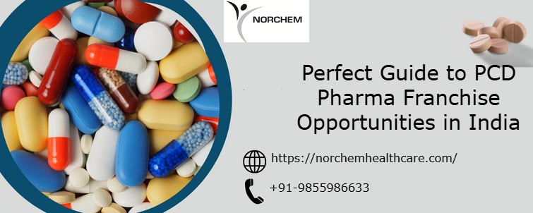 Perfect Guide to PCD Pharma Franchise Opportunities in India