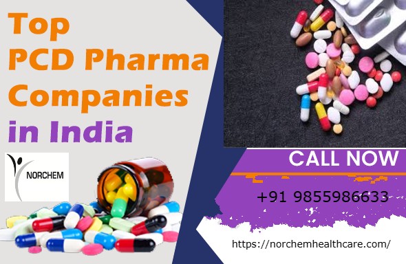 Top Pharma Franchise Companies of India: PCD Pharma List