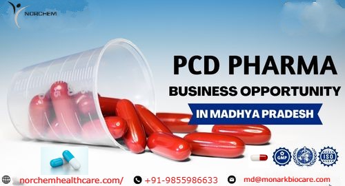Top PCD Pharma Franchise in Madhya Pradesh: Norchem Healthcare