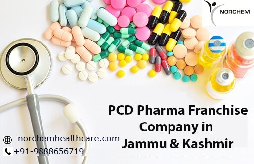 Top pharma franchise companies in jammu and kashmir