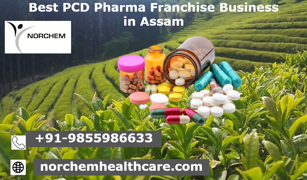 Best PCD Pharma Franchise Business in Assam