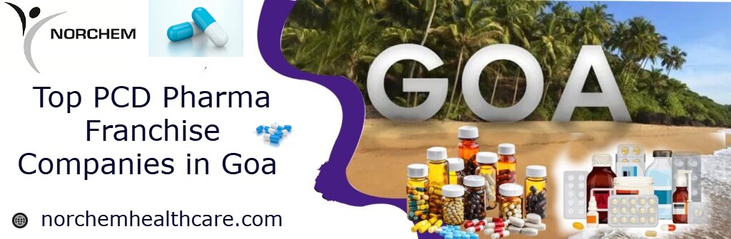 Top PCD Pharma Franchise Companies in Goa