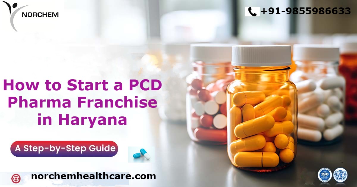 How to Start a PCD Pharma Franchise in Haryana: Step-by-Step Guide