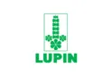 Lupin