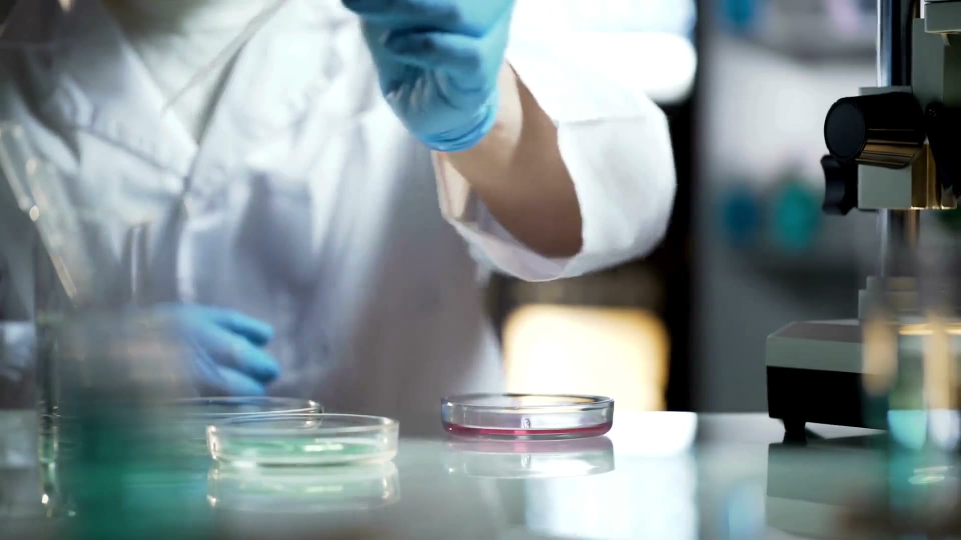 Quality control laboratory at Norchem Healthcare