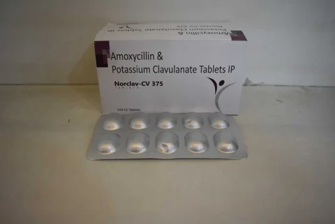Norclav-CV 375, Amoxicillin250mg + Potassium Clavulanate 125mg Tablet