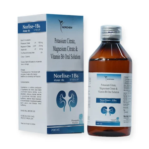 NORLISE-1B6, Potassium Citrate 1100MG + Magnesium Citrate 375mg+ Vitamin B6 20 mg ORAL Solution