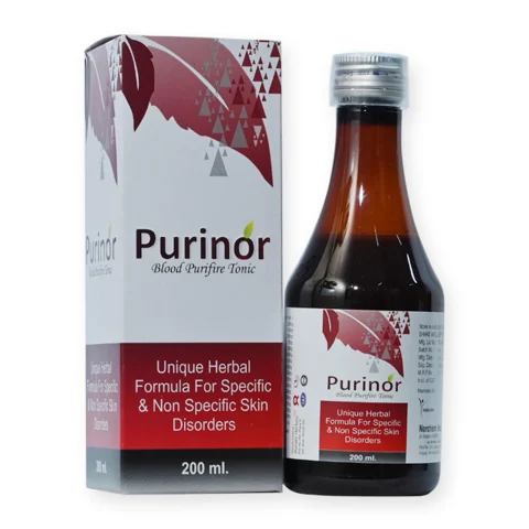 PURINOR, Blood Purifire Aurvedic Syrup With Monocarton